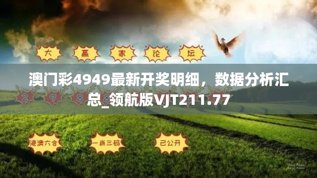 澳門彩4949最新開獎(jiǎng)明細(xì)，數(shù)據(jù)分析匯總_領(lǐng)航版VJT211.77