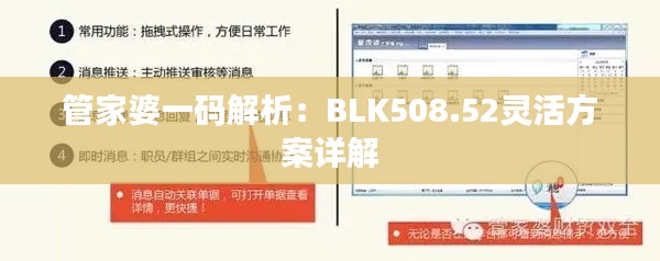 管家婆一碼解析：BLK508.52靈活方案詳解