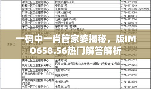 一碼中一肖管家婆揭秘，版IMO658.56熱門解答解析