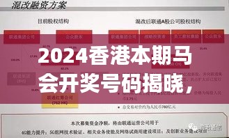 2024香港本期馬會開獎號碼揭曉，安全策略深度剖析——專家視角KJY655.48