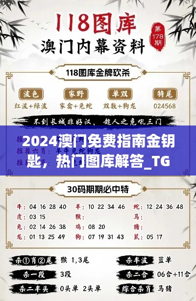 2024澳門免費(fèi)指南金鑰匙，熱門圖庫解答_TGV731.28原創(chuàng)版