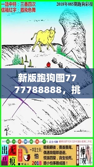 新版跑狗圖7777788888，挑戰(zhàn)TDM565.02資料解析