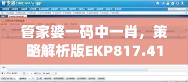 管家婆一碼中一肖，策略解析版EKP817.41測(cè)試版