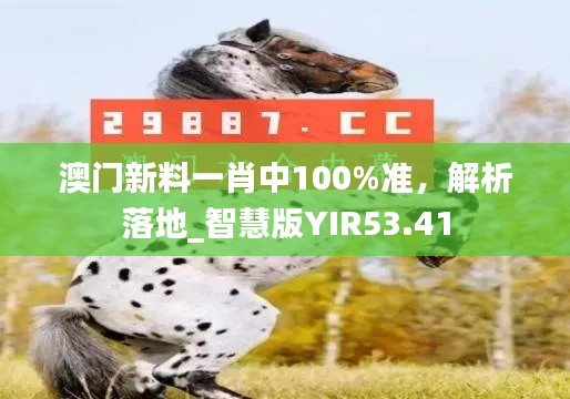 澳門新料一肖中100%準(zhǔn)，解析落地_智慧版YIR53.41