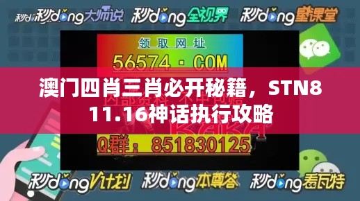 澳門四肖三肖必開秘籍，STN811.16神話執(zhí)行攻略