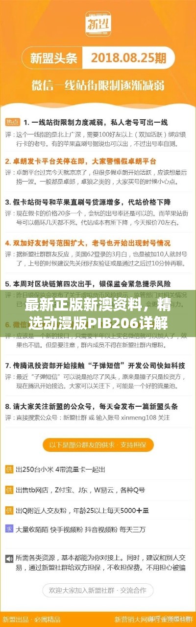 最新正版新澳資料，精選動(dòng)漫版PIB206詳解