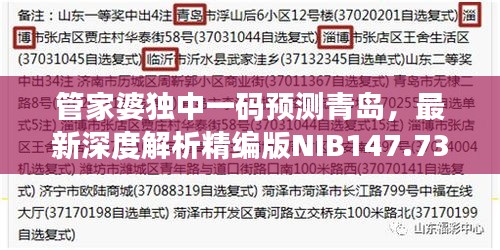 管家婆獨(dú)中一碼預(yù)測(cè)青島，最新深度解析精編版NIB147.73