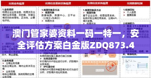 澳門管家婆資料一碼一特一，安全評估方案白金版ZDQ873.47