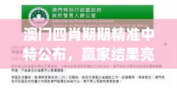 澳門四肖期期精準(zhǔn)中特公布，贏家結(jié)果亮相_新手教程FAG989.56