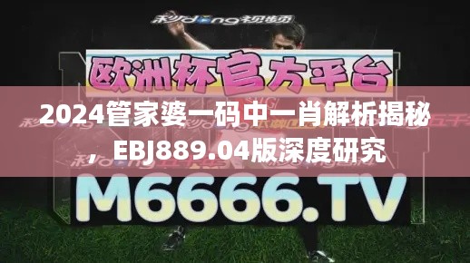 2024管家婆一碼中一肖解析揭秘，EBJ889.04版深度研究