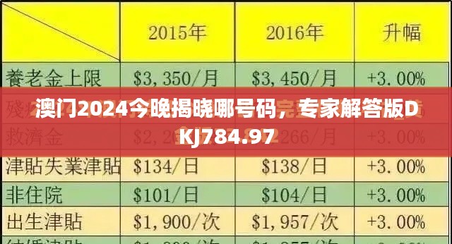 澳門2024今晚揭曉哪號碼，專家解答版DKJ784.97