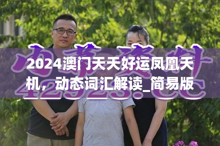 2024澳門天天好運鳳凰天機，動態(tài)詞匯解讀_簡易版RGV5.88