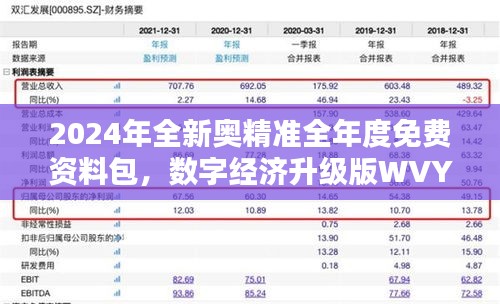 2024年全新奧精準(zhǔn)全年度免費(fèi)資料包，數(shù)字經(jīng)濟(jì)升級(jí)版WVY560.95