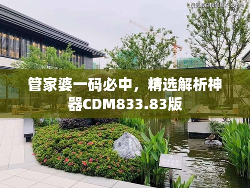 管家婆一碼必中，精選解析神器CDM833.83版