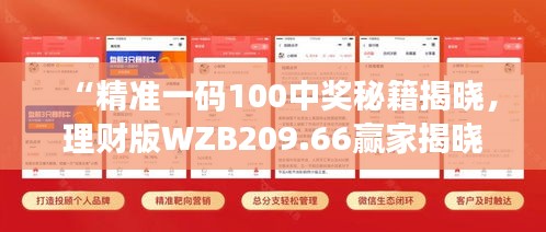 “精準(zhǔn)一碼100中獎(jiǎng)秘籍揭曉，理財(cái)版WZB209.66贏家揭曉”