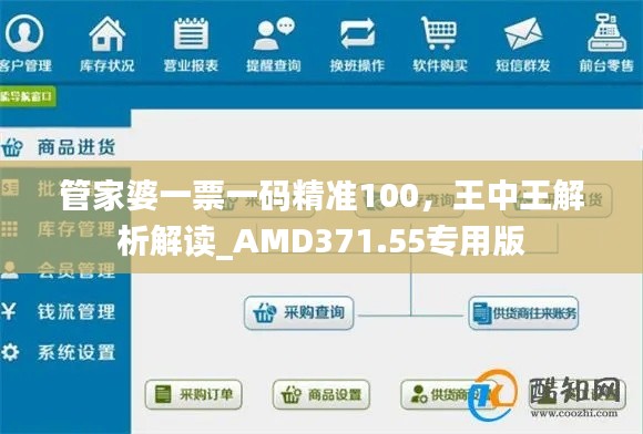 管家婆一票一碼精準100，王中王解析解讀_AMD371.55專用版