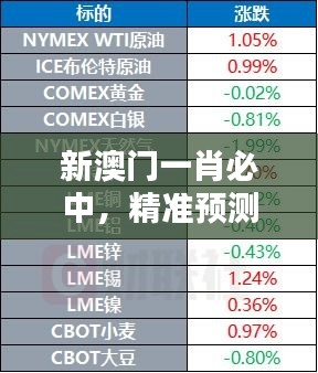 新澳門一肖必中，精準(zhǔn)預(yù)測QCK455.58升級版