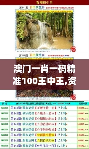 澳門(mén)一肖一碼精準(zhǔn)100王中王,資料匯編權(quán)威解讀_魔力版WQE666.32