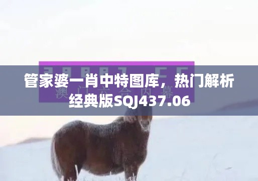 管家婆一肖中特圖庫，熱門解析經(jīng)典版SQJ437.06