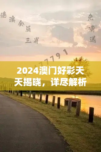 2024澳門好彩天天揭曉，詳盡解析BQY231.21和諧版