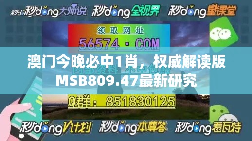 澳門今晚必中1肖，權(quán)威解讀版MSB809.47最新研究