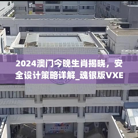 2024澳門今晚生肖揭曉，安全設(shè)計(jì)策略詳解_魂銀版VXE642.92