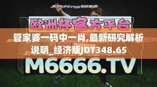 管家婆一碼中一肖,最新研究解析說(shuō)明_經(jīng)濟(jì)版JDT348.65