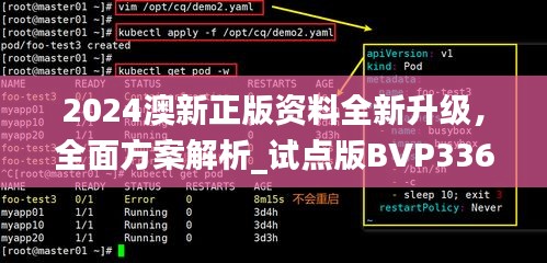 2024澳新正版資料全新升級，全面方案解析_試點版BVP336.32