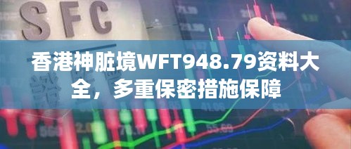 香港神臟境WFT948.79資料大全，多重保密措施保障