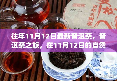 普洱茶之旅，在11月12日的自然懷抱中品味靜心之茶，探尋最新普洱茶的魅力