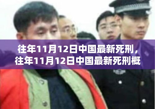 往年11月12日中國最新死刑執(zhí)行概況，法律公正與社會反響分析