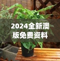 2024全新澳版免費資料集，植物防護秘籍——九天太仙FLQ414.11