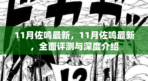 11月佐鳴最新，全面評測與深度介紹