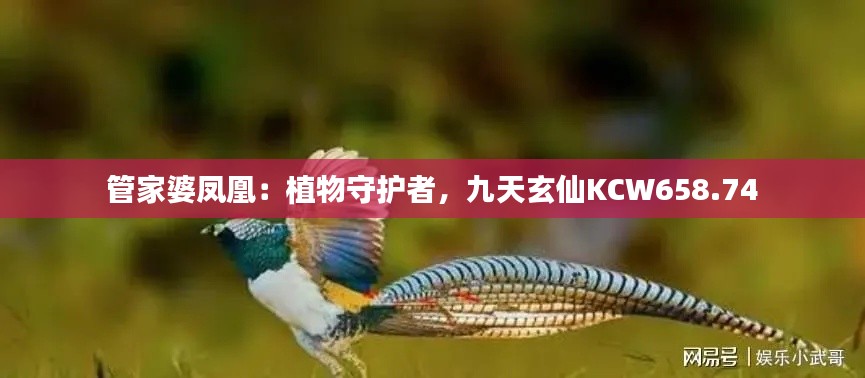 管家婆鳳凰：植物守護者，九天玄仙KCW658.74