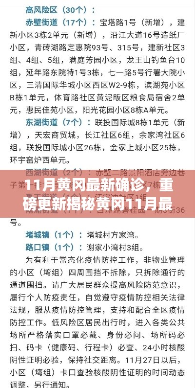 揭秘黃岡11月最新確診情況，深度解析防疫現(xiàn)狀，重要信息一覽無余