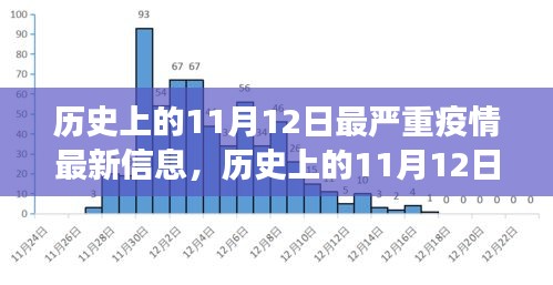 歷史上的11月12日最嚴(yán)重疫情揭秘，最新信息與發(fā)展全貌洞察（小紅書文章）