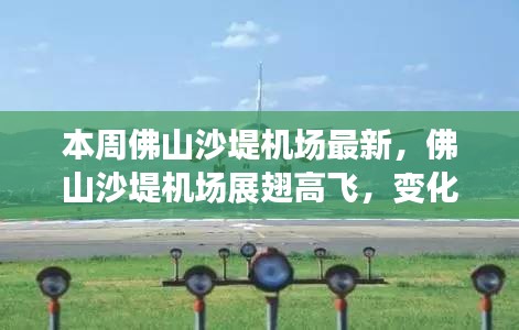 佛山沙堤機場最新動態(tài)，展翅高飛，變化中的學習鑄就自信與成就展