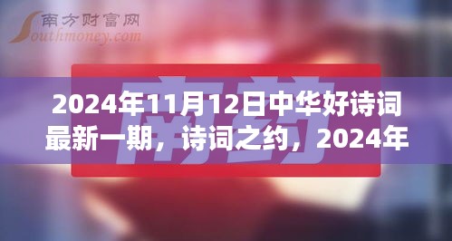 中華好詩詞最新一期，詩意時光下的詩詞之約（2024年11月12日）