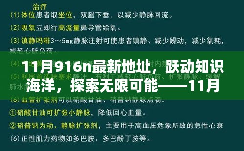 躍動(dòng)知識(shí)海洋，探索無(wú)限可能，揭秘11月916n新地址魔法之旅，學(xué)習(xí)成就自信與成長(zhǎng)