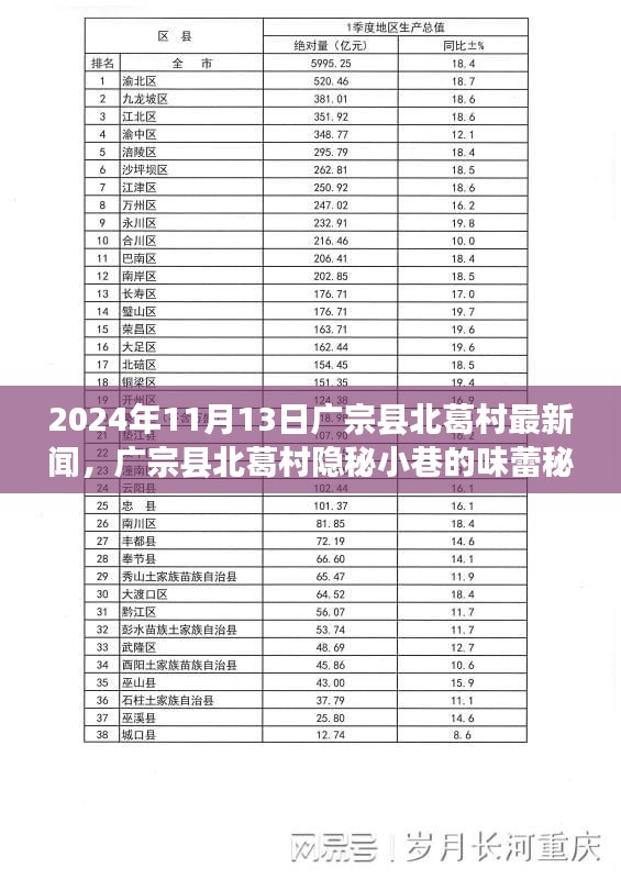 廣宗縣北葛村隱秘小巷的美食秘境，最新探秘之旅（2024年11月13日）