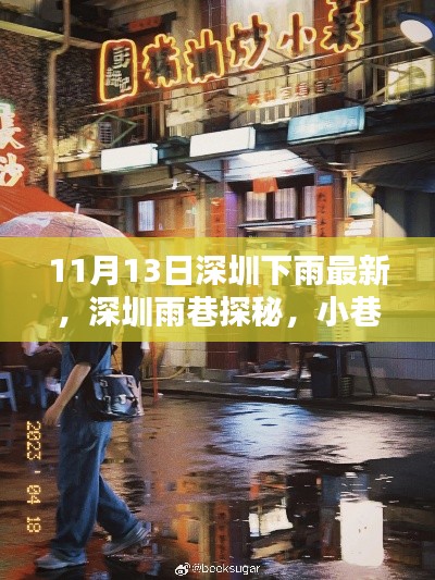 深圳雨巷探秘，美味驚喜與雨中的小巷風(fēng)情