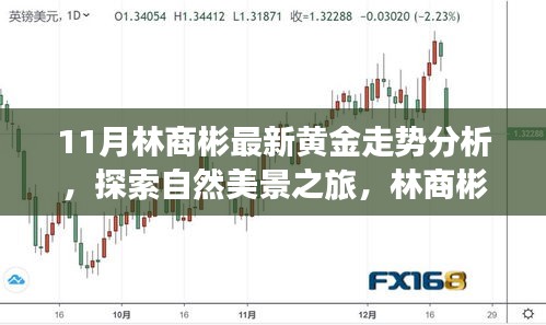 林商彬黃金走勢分析與自然美景探索，黃金與心靈的對話