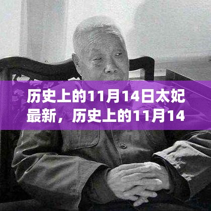 歷史上的11月14日太妃傳奇，最新解讀與影響全解析