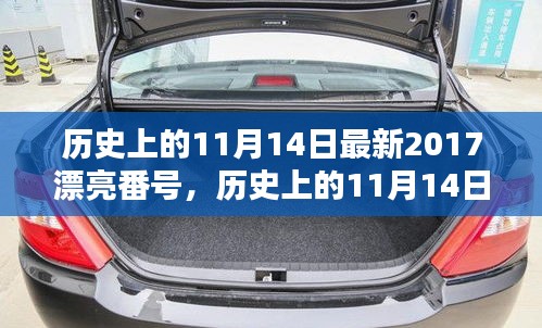 歷史上的11月14日最新2017漂亮番號，歷史上的11月14日，探尋那些閃耀的瞬間與美好記憶??