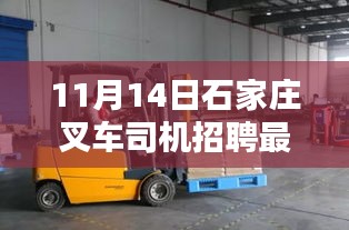 11月14日石家莊叉車(chē)司機(jī)招聘最新消息深度解析與介紹