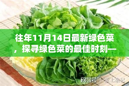 探尋綠色菜的最佳時刻，以往年11月14日為例的蔬菜盛宴