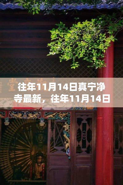 往年11月14日真寧凈寺探訪攻略，領(lǐng)略古寺魅力，最新指南全解析