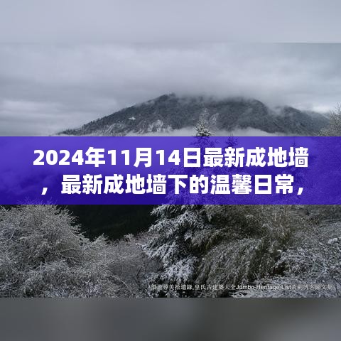 最新成地墻下的溫馨日常，友誼與愛共筑美好家園的2024年1月記事