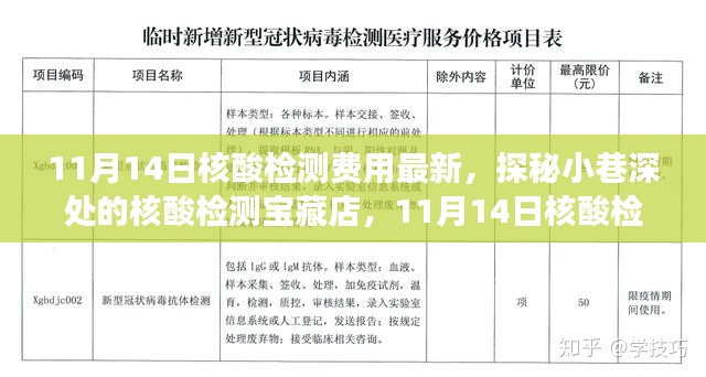 探秘核酸檢測寶藏店，揭秘最新核酸檢測費用新鮮事（11月14日更新）