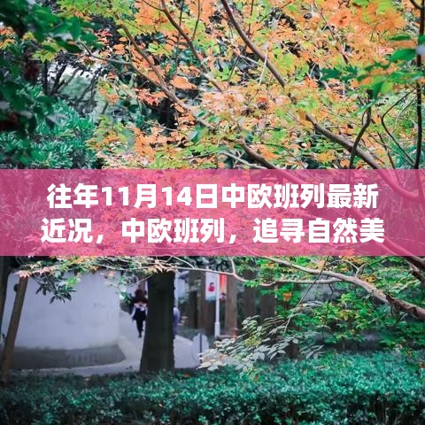 中歐班列秋日序曲，追尋自然美景與內(nèi)心寧靜之旅的最新近況